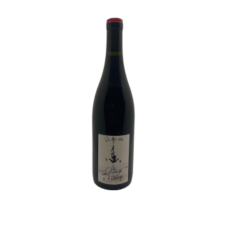 Domaine Ca boit libre, Aoc Vin de Savoie "Ton Rouge d'élevage" Gamay 2022 75cl