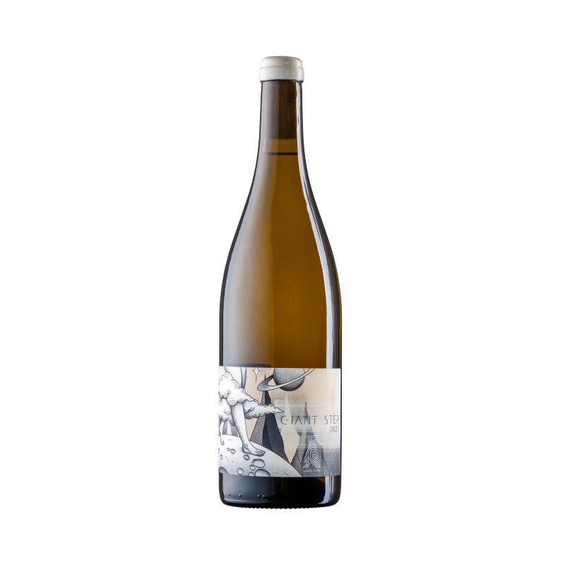 Domaine Archer AOP Savoie "Giant steps" 2023