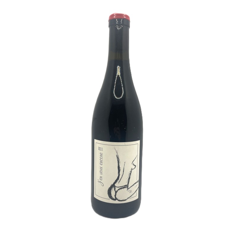 Domaine Ganevat Jean François, Vin De France "J'en Veux Encore" rouge 75cl
