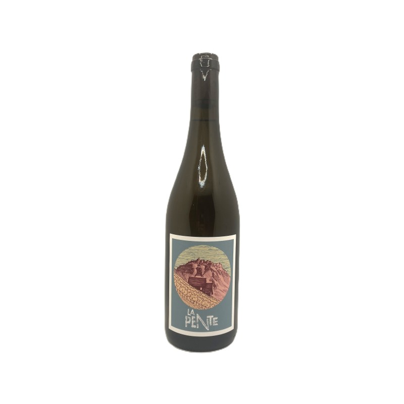 Domaine des Côtes Rousses, AOC Vin de Savoie La Pente 2024 75cl