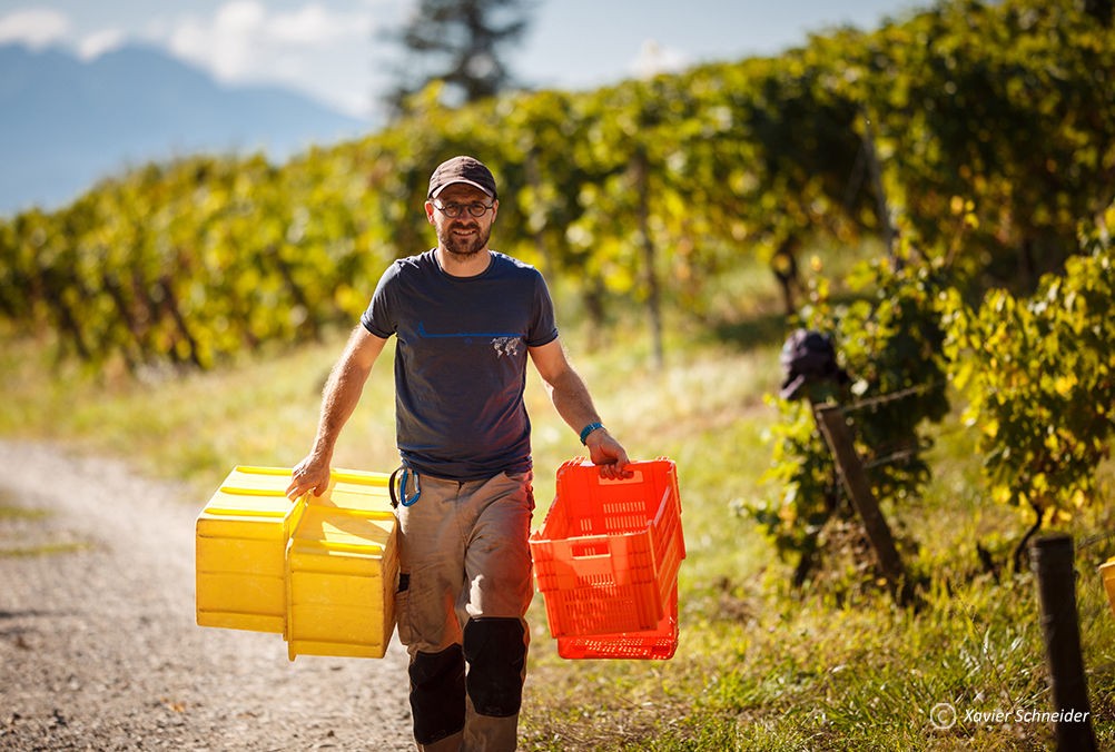 Domaine Ludovic Archer